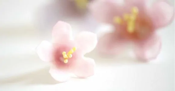 Uitsteker set petunia set van 5 bij cake, bake & love 7 Uitsteker set petunia set van 5 (4)