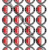 Eetbare cupcakeprint feyenoord - 24 cupcake rondjes bij cake, bake & love 3
