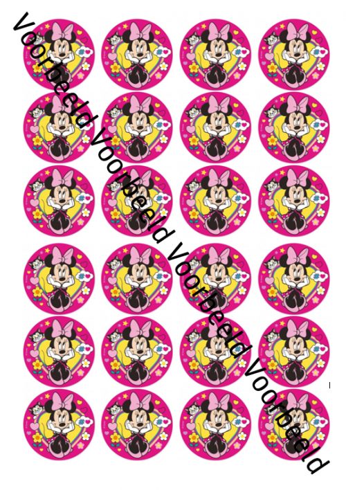 Minnie mouse 3 24 cupcakes bij cake, bake & love 5