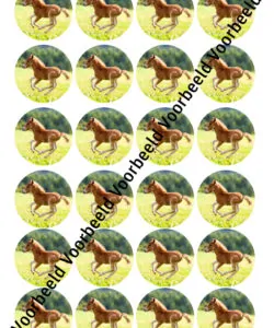 Eetbare Cupcakeprint Veulen - 24 cupcake rondjes
