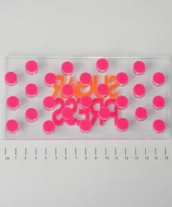 Sugar Press Dotty Pattern Small