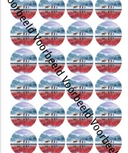 Eetbare Cupcakeprint Frozen 2 3 - 24 cupcake rondjes