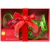 Wilton plastic cookie cutter christmas set/10 bij cake, bake & love 1
