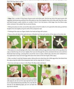Katy Sue Flower Pro - Flower Pro book- Volume 1 (2)