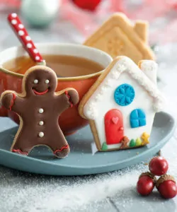 Koekjesuitsteker set gingerbread man & house bij cake, bake & love 10