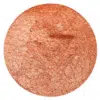Rolkem dust special rose gold 20 gram grootverpakking bij cake, bake & love 1