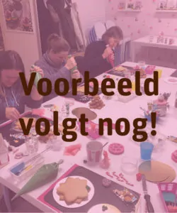 Workshop Koekjes Royal Icing Kerst - dinsdag 9 december 19:00