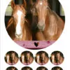 Eetbare taartprint paarden - 18 cm rond + 8 cupcake rondjes bij cake, bake & love 3