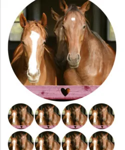 Eetbare Taartprint Paarden - 18 cm rond + 8 cupcake rondjes