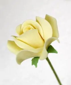 Katy sue flower pro - calyx trio mould bij cake, bake & love 13
