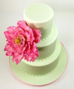 Katy sue flower pro - peony & tulip silicone mould & veiner bij cake, bake & love 11