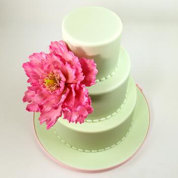 Katy sue flower pro - peony & tulip silicone mould & veiner bij cake, bake & love 7