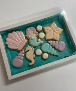 Koekjes dozen
