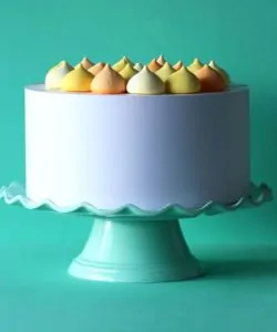 Taart standaard wave mint bij cake, bake & love 11 Taart standaard wave mint bij cake, bake & love 10