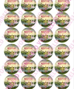 Eetbare Cupcakeprint Efteling 2 - 24 cupcake rondjes