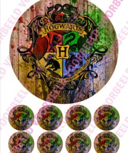 Eetbare Taartprint Harry Potter 1 - 18 cm rond + 8 cupcake rondjes