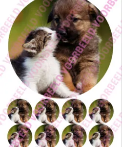 Eetbare Taartprint Huisdieren 1 - 18 cm rond + 8 cupcake rondjes