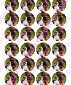 Eetbare Cupcakeprint Huisdieren 1 - 24 cupcake rondjes