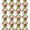 Eetbare taartprint huisdieren 3 - 18 cm rond + 8 cupcake rondjes bij cake, bake & love 3
