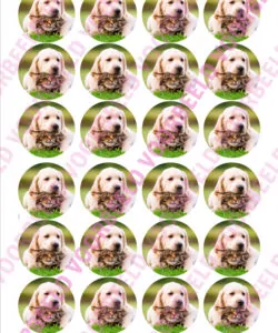 Eetbare Taartprint Huisdieren 3 - 18 cm rond + 8 cupcake rondjes
