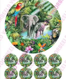 Eetbare Taartprint Jungle 3 - 18 cm rond + 8 cupcake rondjes