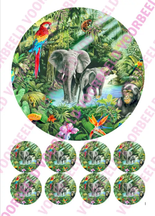 Eetbare taartprint jungle 3 - 18 cm rond + 8 cupcake rondjes
