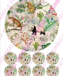 Eetbare Taartprint Jungle 4 - 18 cm rond + 8 cupcake rondjes