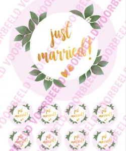 Eetbare Taartprint Just Married 2 - 18 cm rond + 8 cupcake rondjes