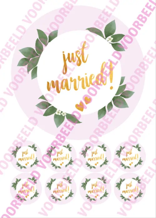 Eetbare taartprint just married 2 - 18 cm rond + 8 cupcake rondjes