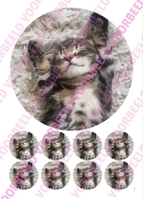 Eetbare taartprint kitten 1 - 18 cm rond + 8 cupcake rondjes