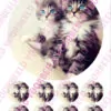 Eetbare taartprint kitten 2 - 18 cm rond + 8 cupcake rondjes bij cake, bake & love 1