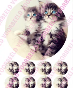 Eetbare Taartprint Kitten 2 - 18 cm rond + 8 cupcake rondjes