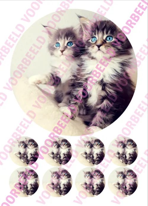 Eetbare taartprint kitten 2 - 18 cm rond + 8 cupcake rondjes