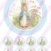 Eetbare taartprint pieter konijn 1 - 18 cm rond + 8 cupcake rondjes bij cake, bake & love 3
