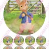 Eetbare taartprint pieter konijn 3 - 18 cm rond + 8 cupcake rondjes bij cake, bake & love 3