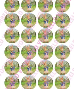 Eetbare Cupcakeprint Pieter Konijn 3 - 24 cupcake rondjes
