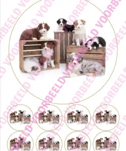 Eetbare Taartprint Puppy 1 - 18 cm rond + 8 cupcake rondjes