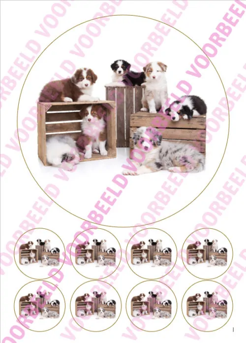 Eetbare taartprint puppy 1 - 18 cm rond + 8 cupcake rondjes