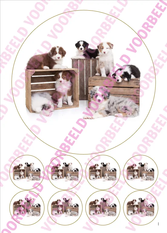 Eetbare taartprint puppy 1 - 18 cm rond + 8 cupcake rondjes bij cake, bake & love 5 Eetbare taartprint puppy 1 - 18 cm rond + 8 cupcake rondjes