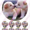 Eetbare taartprint puppy 2 - 18 cm rond + 8 cupcake rondjes bij cake, bake & love 1