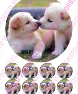 Eetbare Taartprint Puppy 2 - 18 cm rond + 8 cupcake rondjes