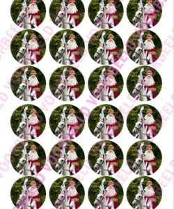 Eetbare Cupcakeprint Sinterklaas 2 - 24 cupcake rondjes