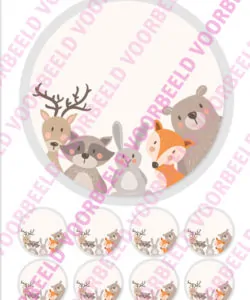 Eetbare Taartprint Woodland Animals 2 - 18 cm rond + 8 cupcake rondjes