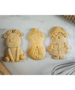 Karen davies mould  christmas cookie bij cake, bake & love 10