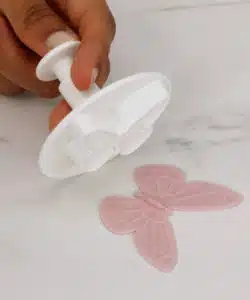 Pme pretty butterfly plunger cutters bij cake, bake & love 13