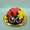 Lieveheersbeestje taartje pakket + stap-voor-stap instructiefilmpje (zonder bakvorm) bij cake, bake & love 3