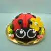 Lieveheersbeestje taartje pakket + stap-voor-stap instructiefilmpje (zonder bakvorm) bij cake, bake & love 3
