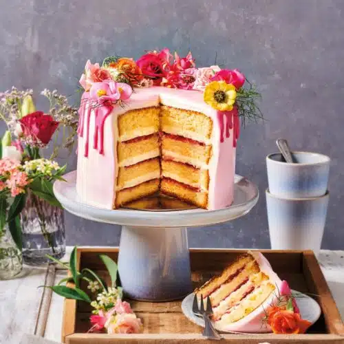 Funcakes mix voor biscuit deluxe 4 kg - afbeelding 2