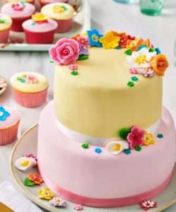 Funcakes rolfondant multipack pink colour palette 5x100 g bij cake, bake & love 7