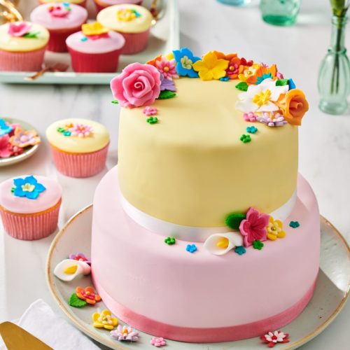 Funcakes rolfondant multipack pink colour palette 5x100 g bij cake, bake & love 6